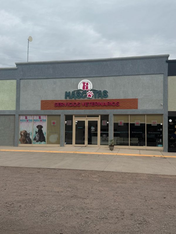 Local en Venta Kilometro 10 del Corredor Comercial (VENDIDO) - Imagen 2