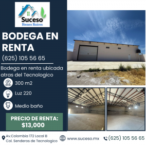 Bodega en Renta atras del Tecnologico