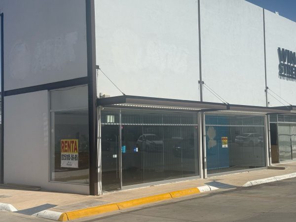 Locales En Renta Plaza Golden - Imagen 3