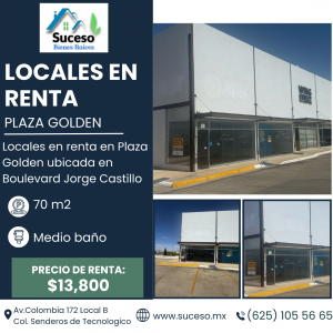 Locales En Renta Plaza Golden