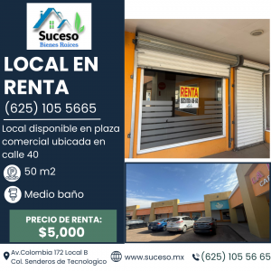 Local en Renta en calle 40