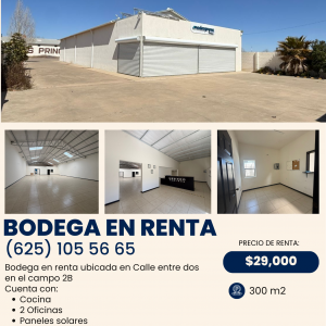 Bodega en Renta Calle entre dos en el Campo 2B